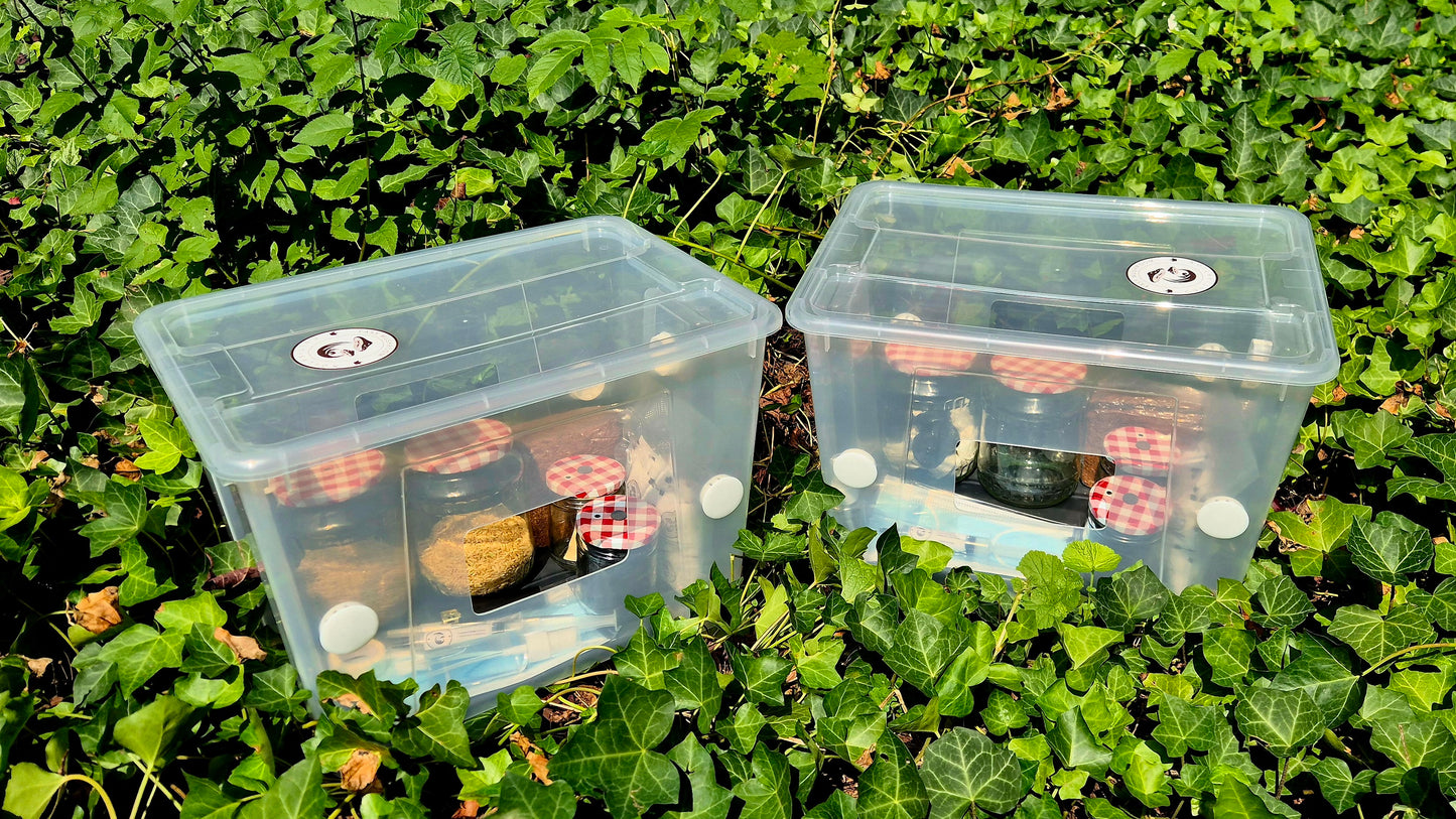 Double Mushroom Starter Kit