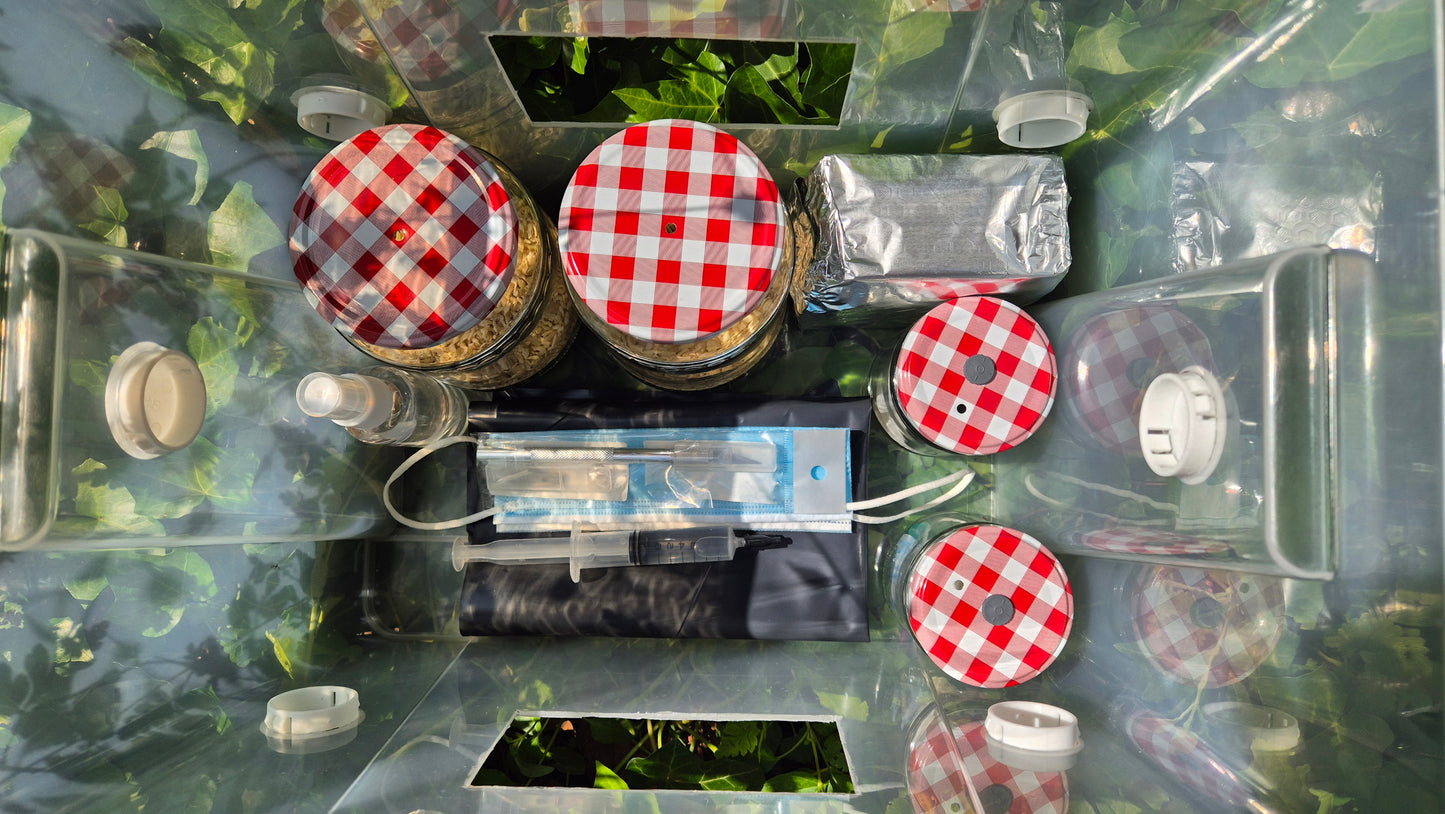 Top-down view of the Easy Mushroom Cultivation starter kit, including two large mason jars, two small mason jars, a disinfectant spray bottle, a spore syringe, a face mask, and a black plastic liner, all neatly arranged for home mushroom growing.