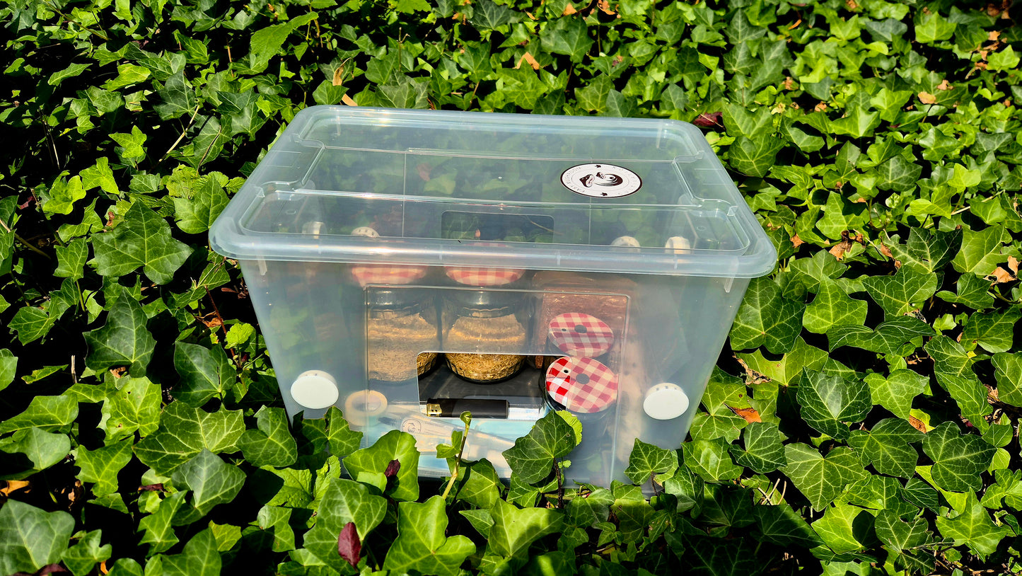 Mushroom Starter Kit