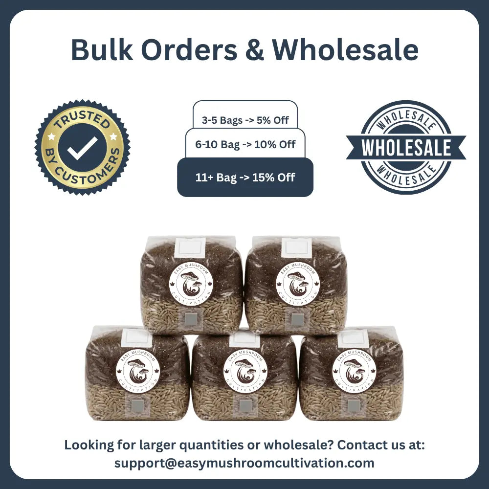 A wholesale stack of five all-in-one mushroom grow bags filled with sterilized rye grain spawn, ideal for commercial indoor mushroom cultivation.