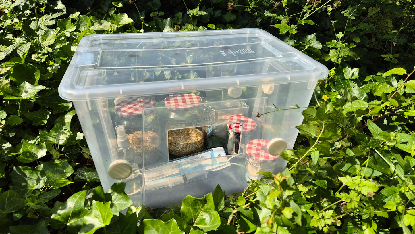 A manufactured mushroom grow box placed outdoors in dense greenery. The clear plastic container holds grain jars with red gingham lids, syringes, a face mask, and other growing tools, visible through the transparent sides.