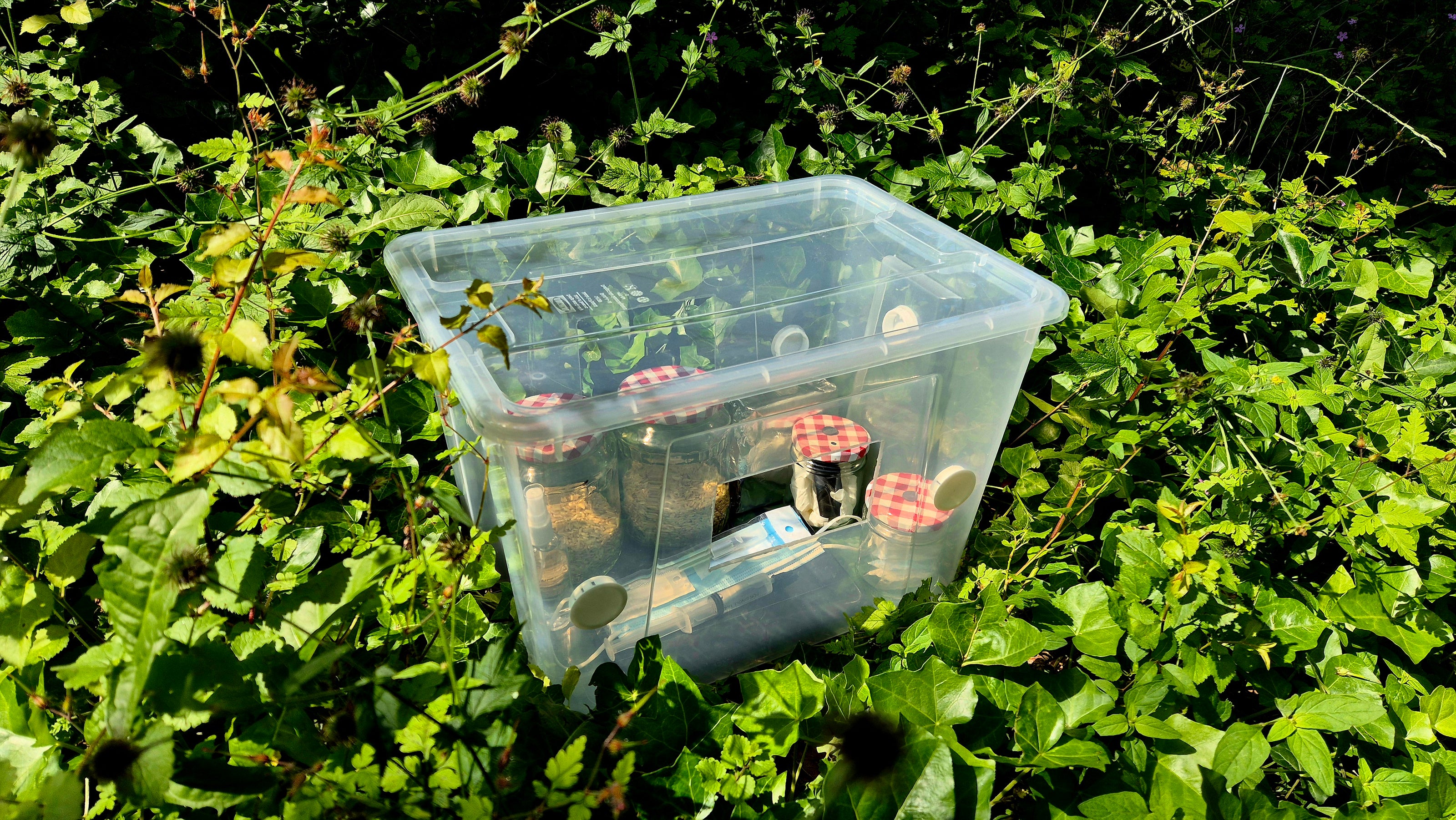 A manufactured mushroom grow box placed outdoors in dense greenery. The clear plastic container holds grain jars with red gingham lids, syringes, a face mask, and other growing tools, visible through the transparent sides.