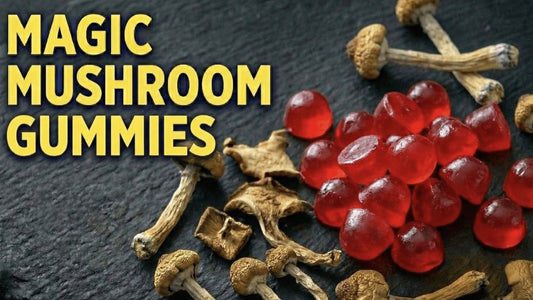 How to Make Magic Mushroom Gummies?