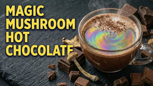 How to make magic mushroom hot chocolate