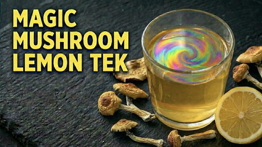 How to Lemon Tek Magic Mushrooms?