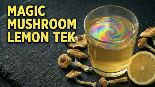 Magic Mushroom Lemon Tek" graphic with a glass of swirling liquid, dried shrooms, and a cut lemon.