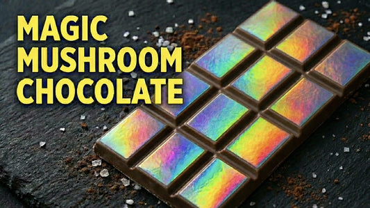 How to Make Magic Mushroom Chocolate?
