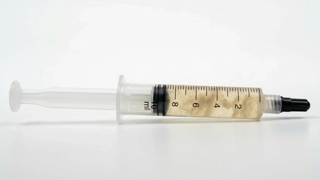 The Ultimate Guide to Mushroom Liquid Culture (LC) in 2026