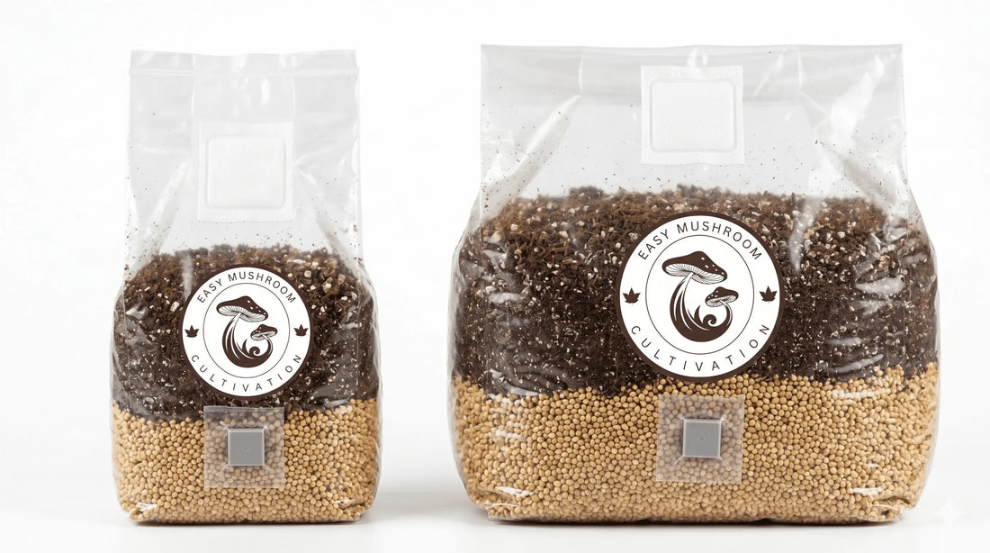 All-In-One Mushroom Grow Bag Instructions