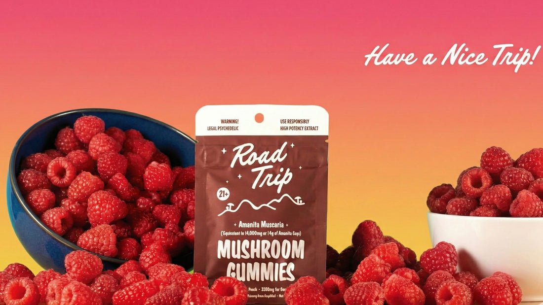 The Ultimate Road Trip Mushroom Gummies Guide in 2026