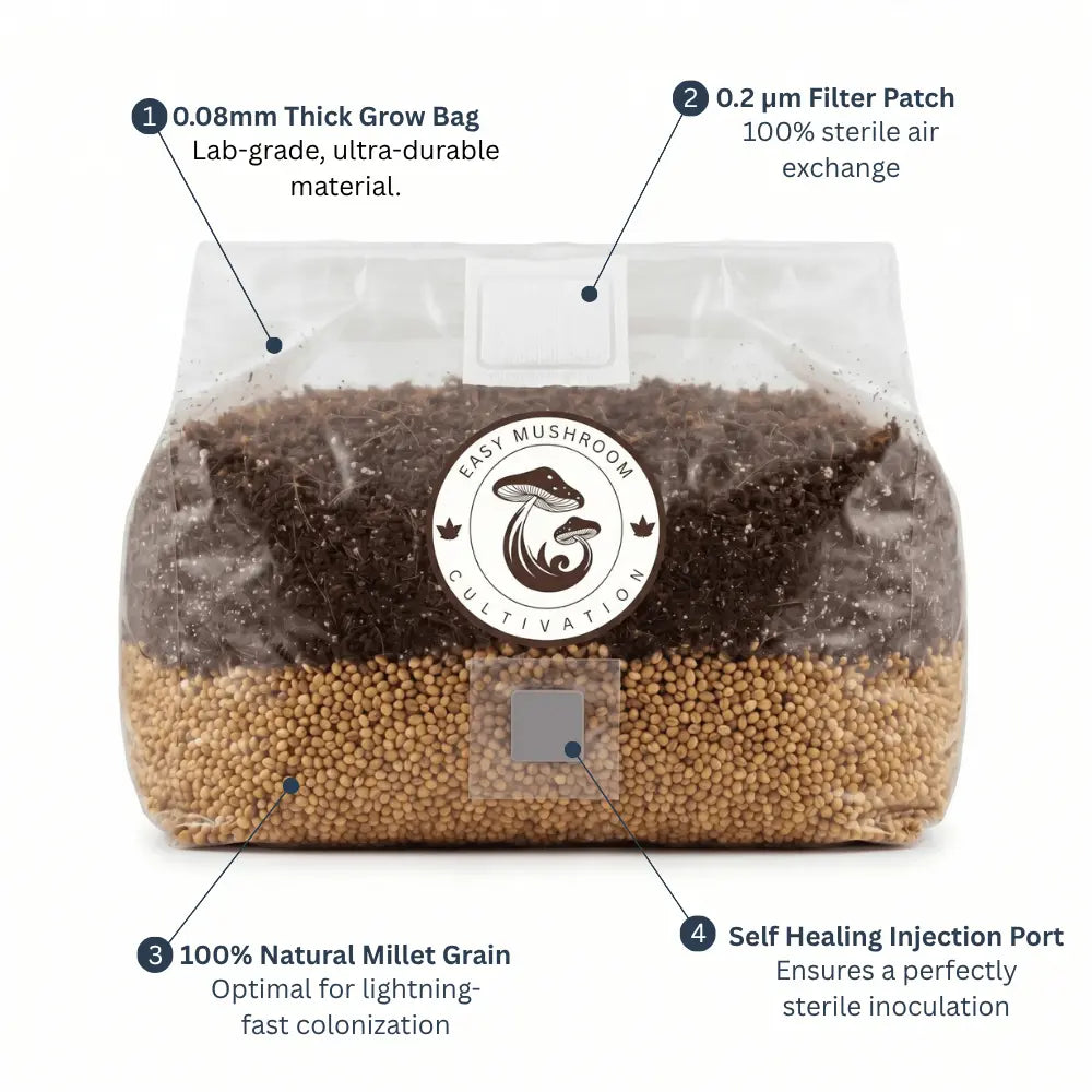 All In One Grow Mushroom Bag – Coco Coir & Organic Rye