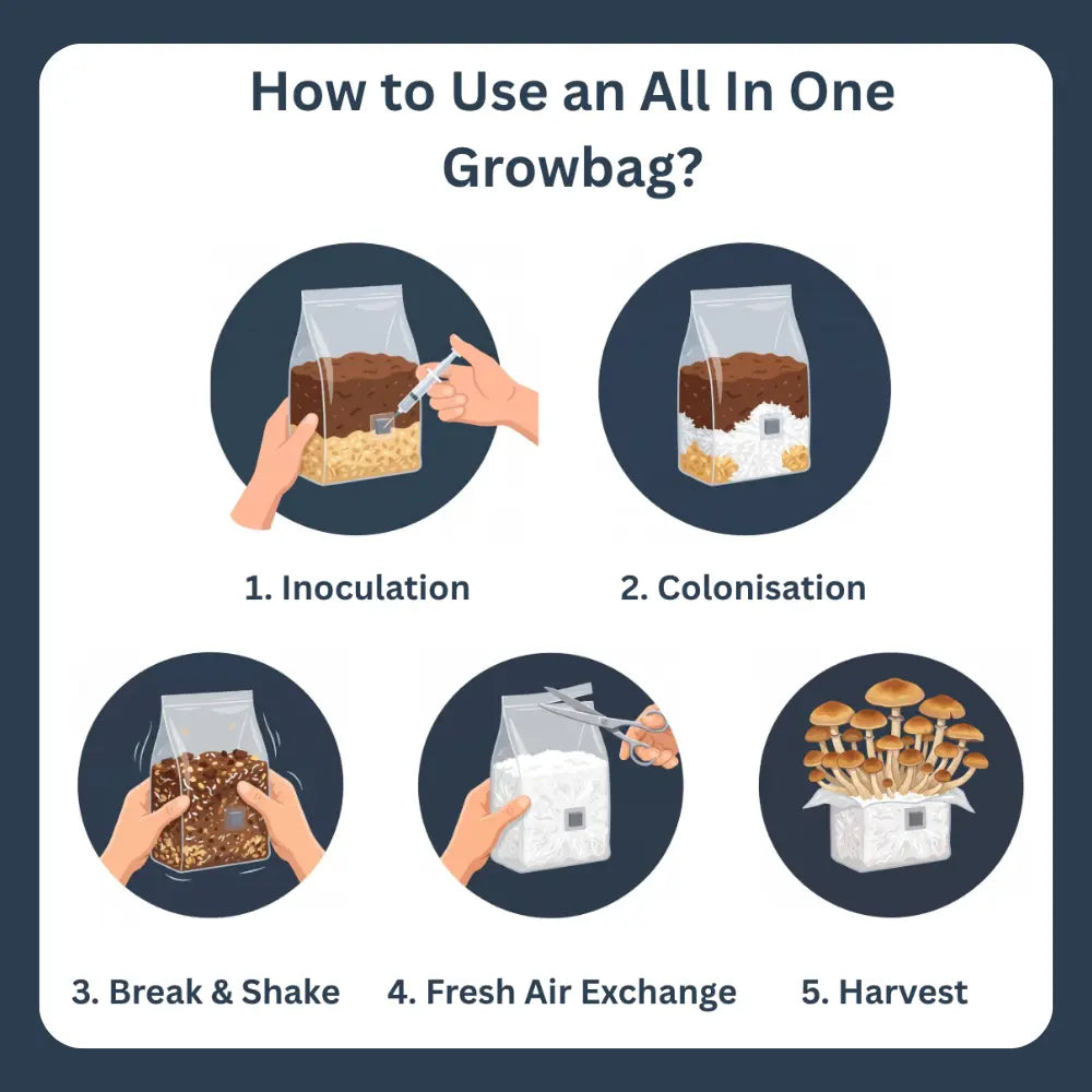 All In One Grow Mushroom Bag – Coco Coir & Organic Rye