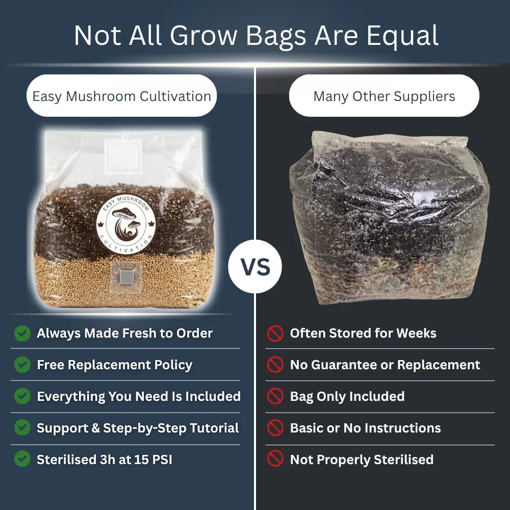All In One Grow Mushroom Bag – Coco Coir & Organic Rye