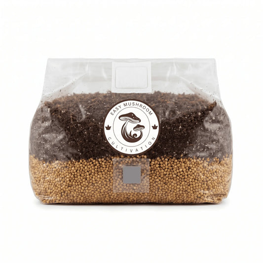 Close up of a single large 3 litre premium all in one mushroom grow bag showing distinct grain and substrate layers.