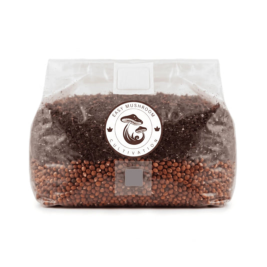 Three all-in-one mushroom grow bags (1L, 3L, 5L) with milo grain substrate, perfect for a balance of speed and yield in cultivation.