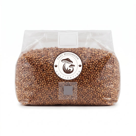 Sterilized Milo Grain Spawn Bags