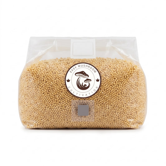 Sterilized Millet Grain Spawn Bags