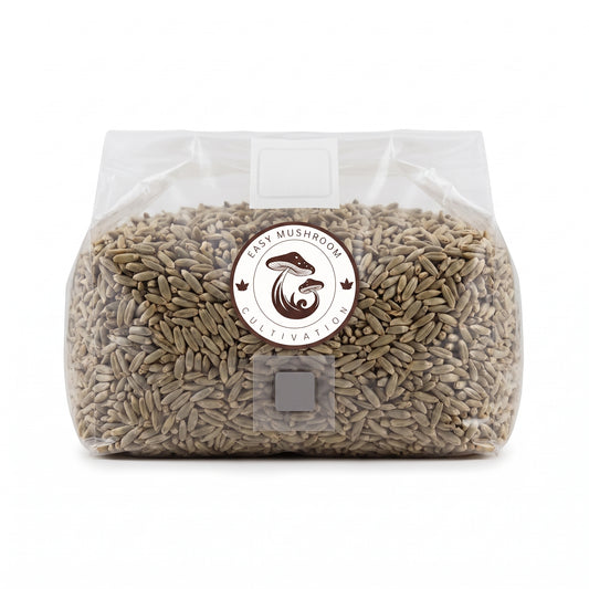 Sterilized Rye Grain Spawn Bags