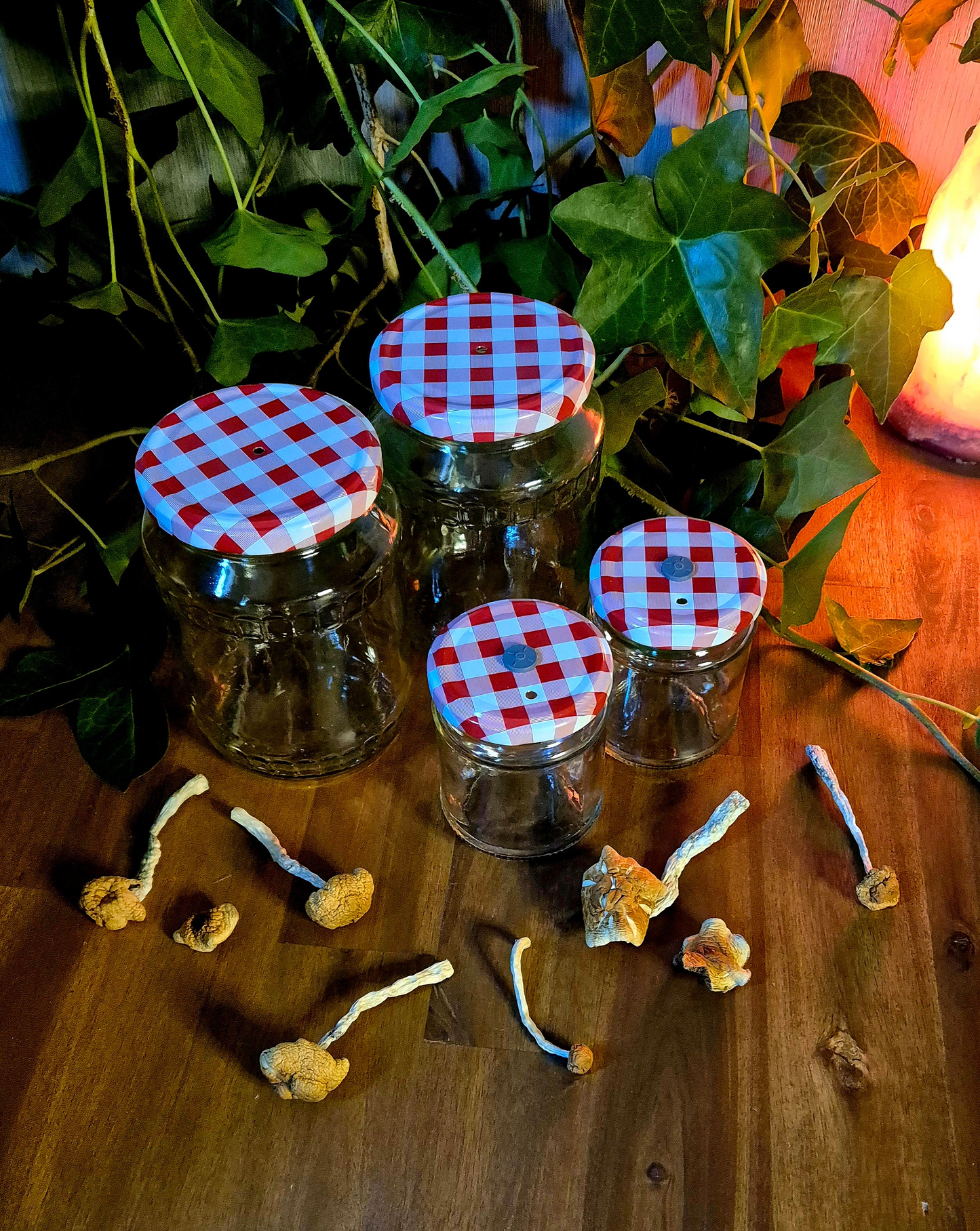 Mason Jar Set