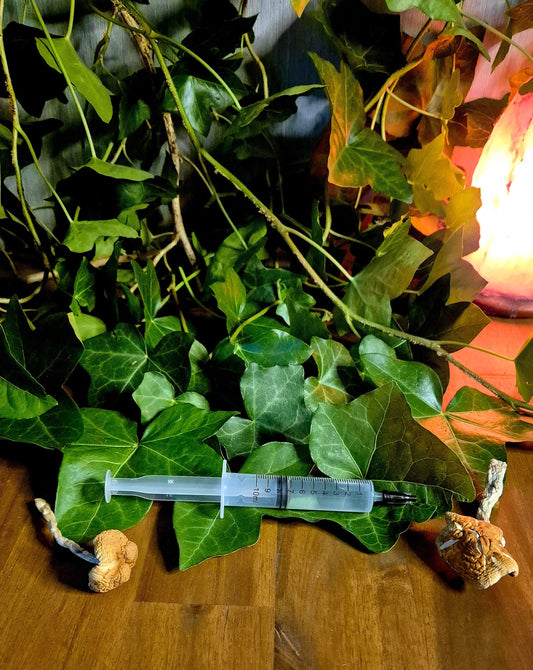 Sterile Golden Teacher Spore Syringe in nature setting