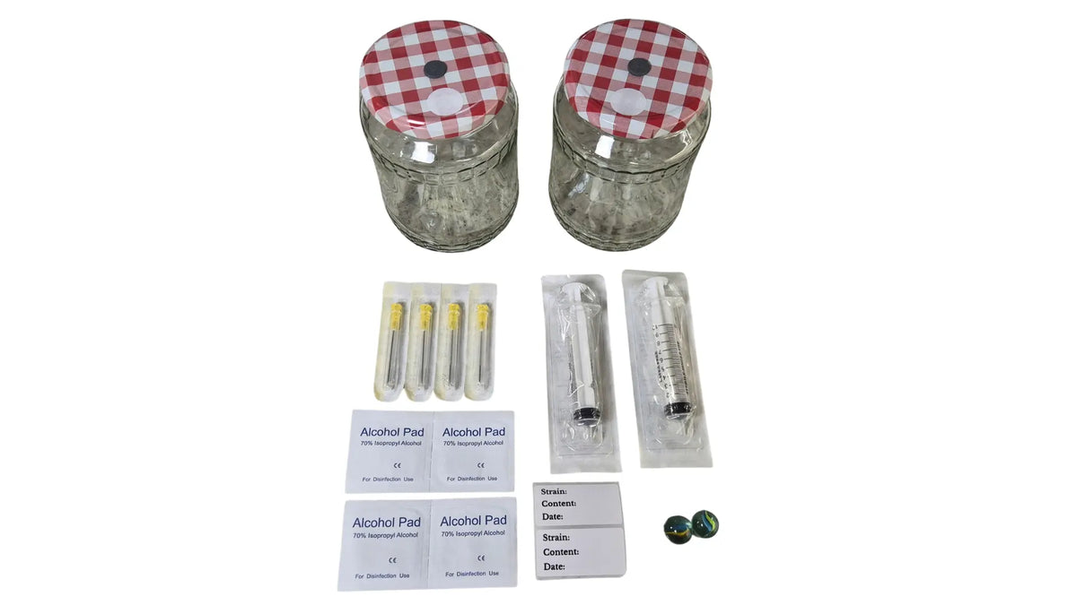 Mushroom liquid culture kit with two jars, two sterile syringes, four needles, alcohol pads, labels and marbles