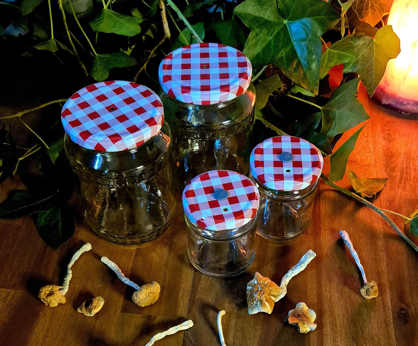 Mushroom Growing Jars