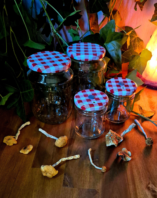 Mushroom Growing Jars