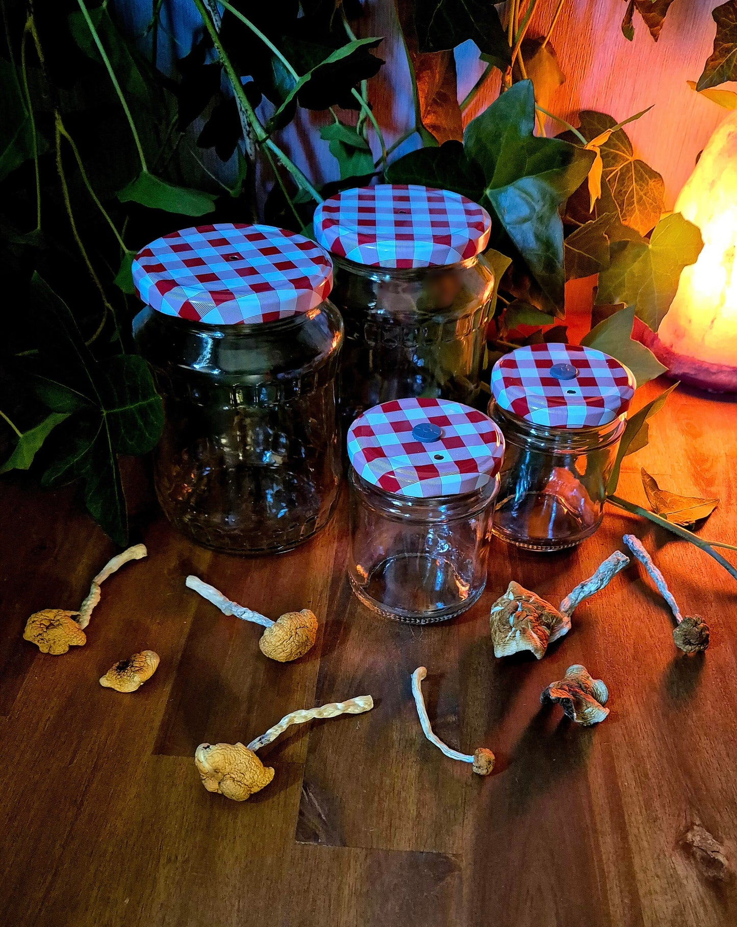 Mushroom Growing Jars