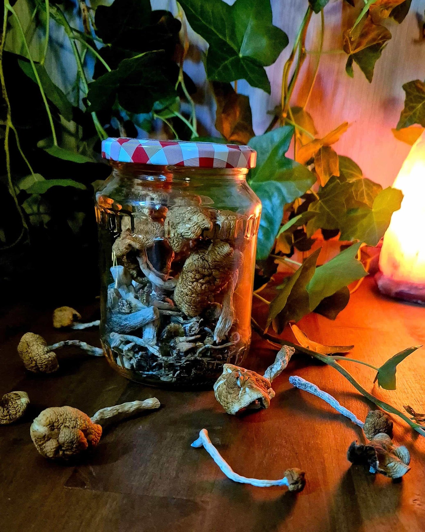 Dried mushrooms stored in a clear glass jar on a wooden surface, surrounded by loose mushrooms, green ivy leaves, and the warm glow of a salt lamp.