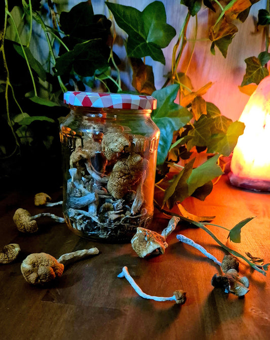 Mushroom Storage Jar