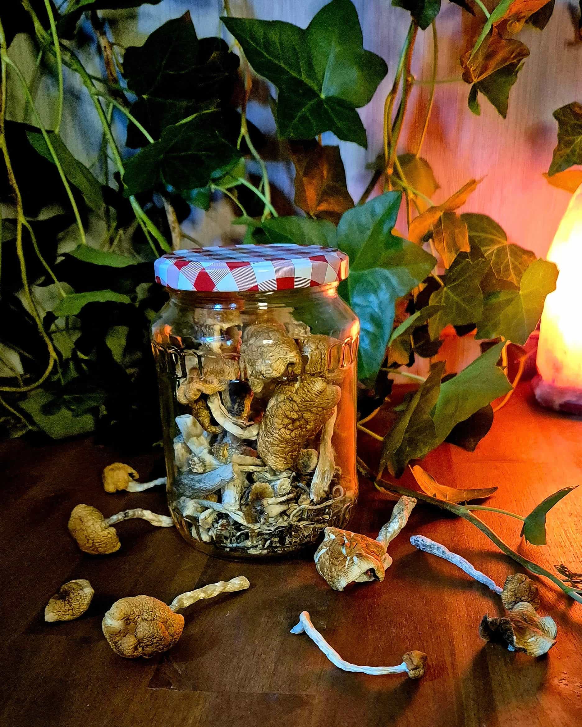 A glass storage jar with a checkered lid filled with dried mushrooms, sitting on a wooden table. Several loose dried mushrooms are scattered around the jar, warmly lit by an orange salt lamp with green ivy in the background.