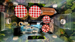 Cassette tapes with red and white checkered lids on a green leafy background
