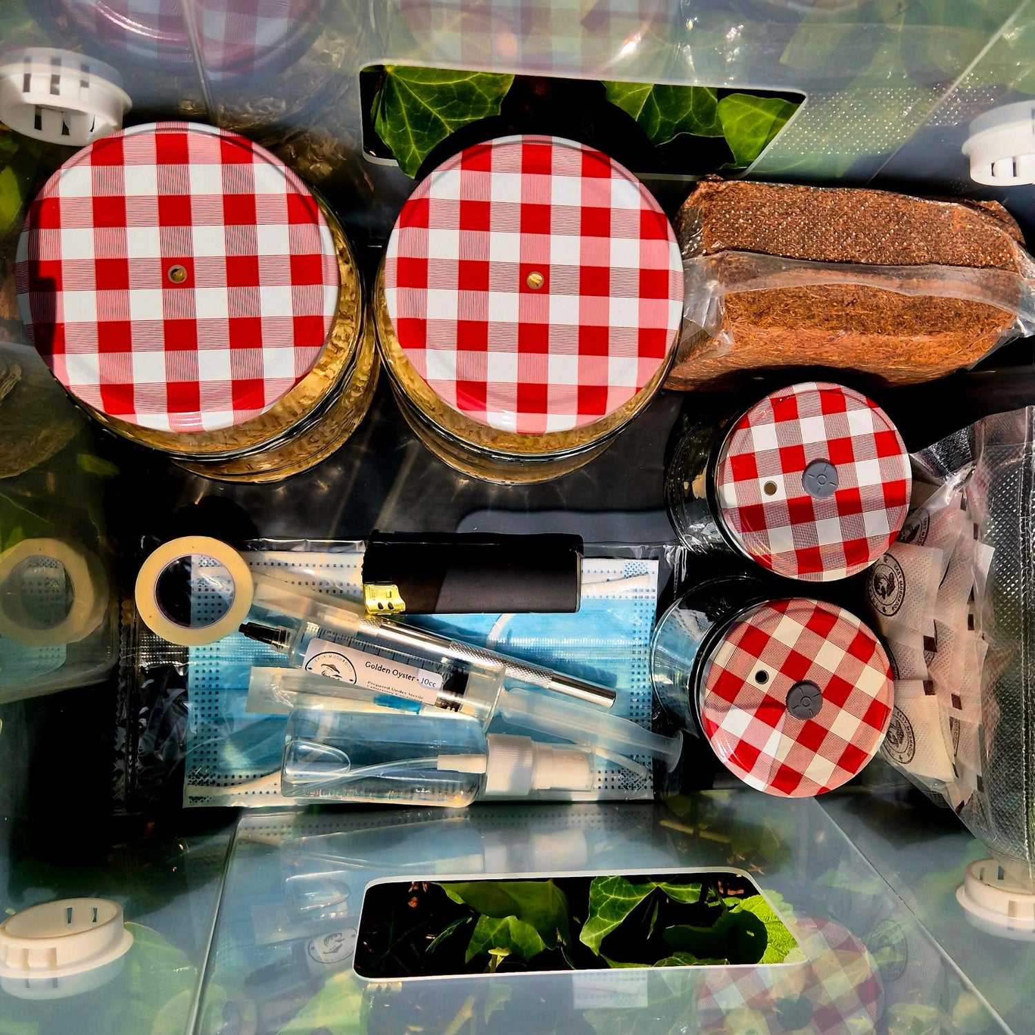 Assorted items including jars with red and white checkered lids, a tube of cream, and a smartphone on a reflective surface.