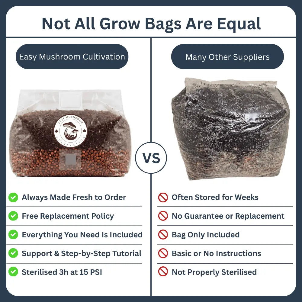 Side-by-side comparison of an all-in-one mushroom grow bag using milo grain substrate versus a standard unbranded bag for mushroom cultivation.