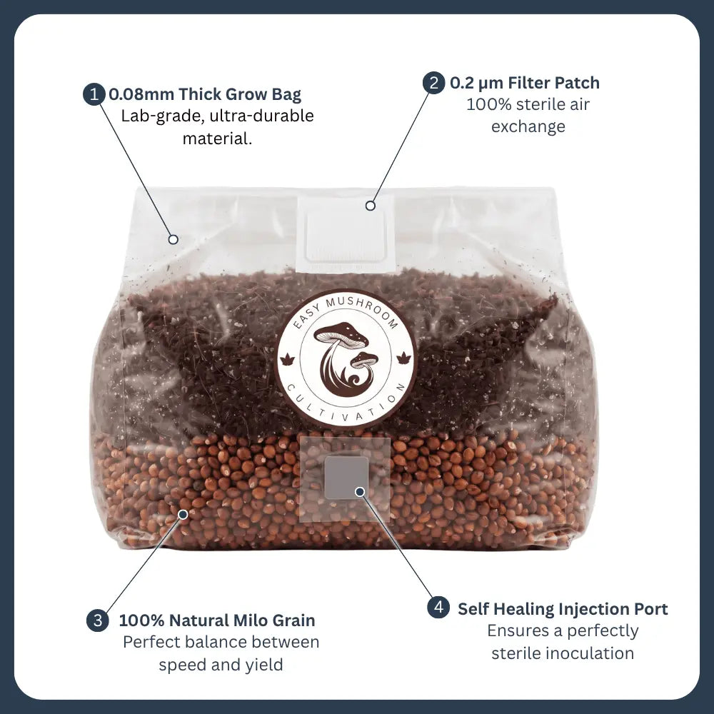 All-in-one mushroom grow bag with milo grain substrate, featuring a 0.2µm filter patch, self-healing injection port and 0.08mm material.