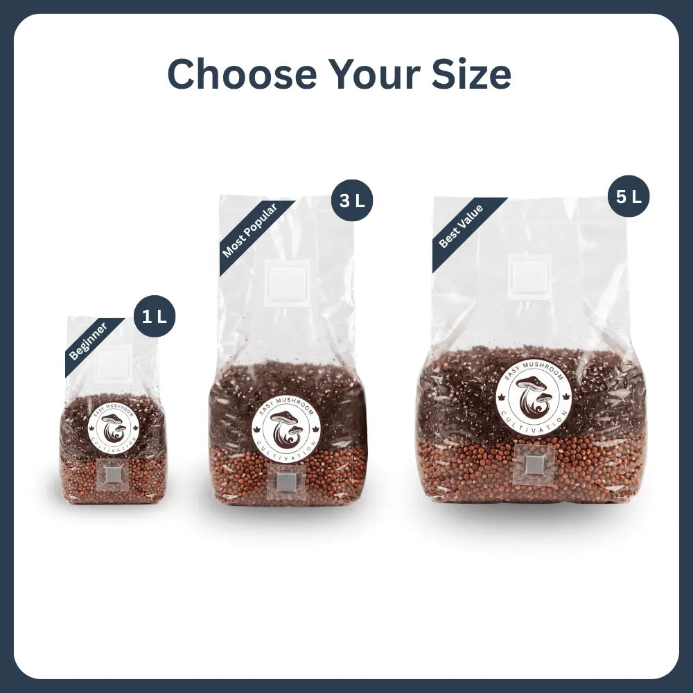 Three all-in-one mushroom grow bags (1L, 3L, 5L) with milo grain substrate, perfect for a balance of speed and yield in cultivation.