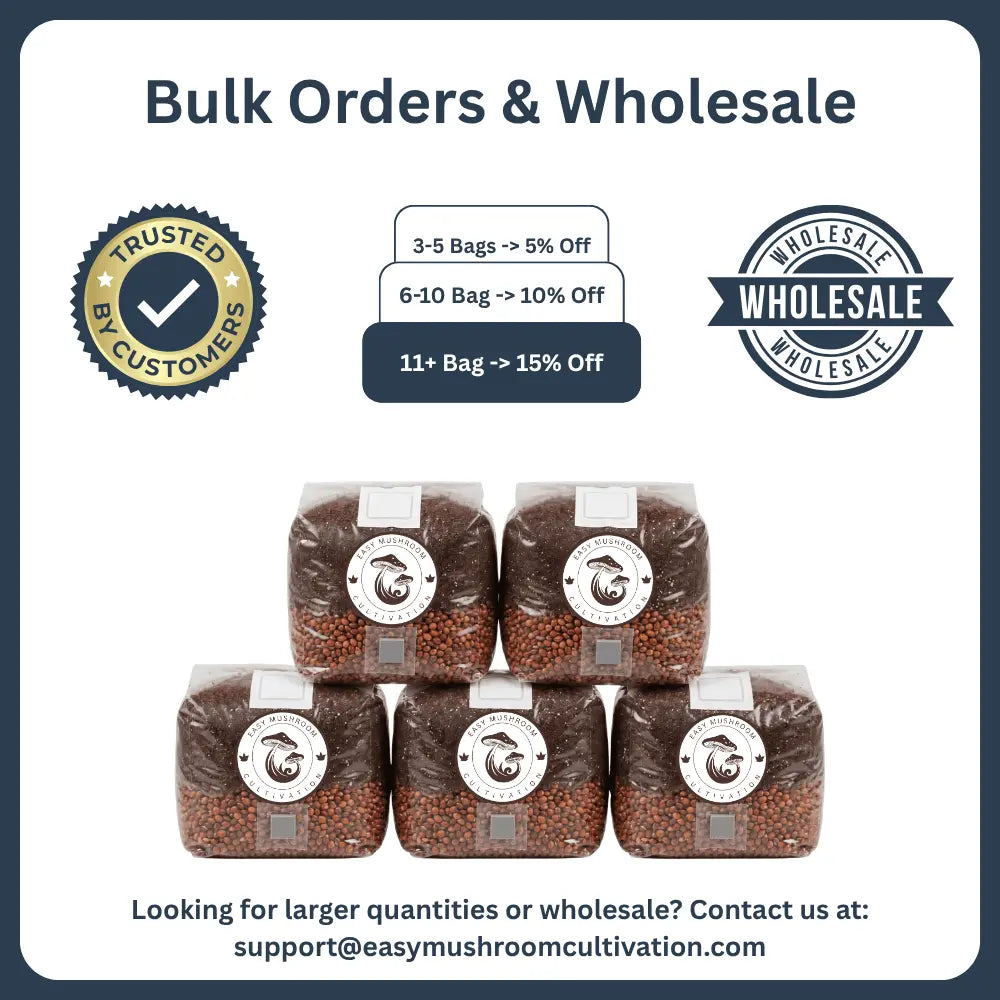 Five stacked all-in-one mushroom grow bags containing milo grain substrate, arranged together to highlight bulk orders for mushroom cultivation.