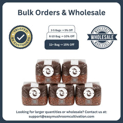 Five stacked all-in-one mushroom grow bags containing milo grain substrate, arranged together to highlight bulk orders for mushroom cultivation.