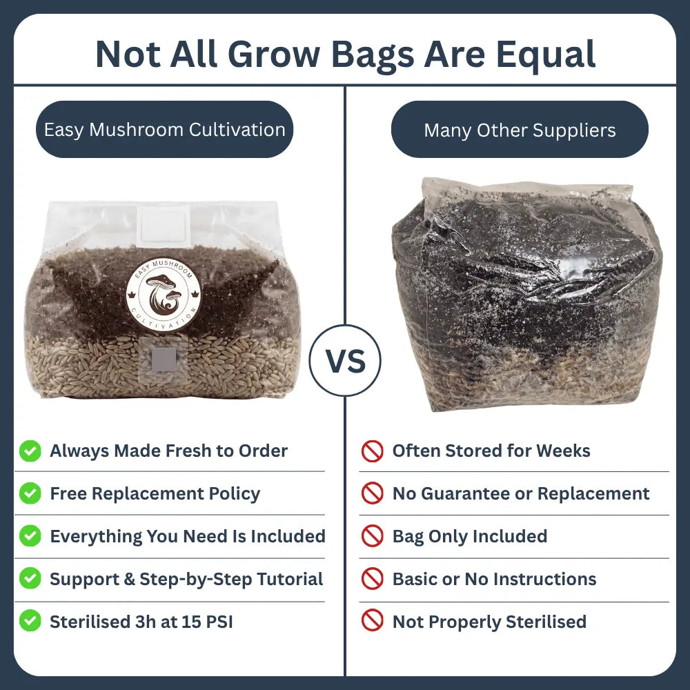 Comparison of a premium all-in-one mushroom grow bag with sterilized rye grain spawn against a basic competitor bag for mushroom cultivation.
