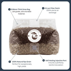All-in-one mushroom grow bag with rye grain spawn, featuring a 0.2µm filter patch, self-healing injection port, and 0.08mm thickness.