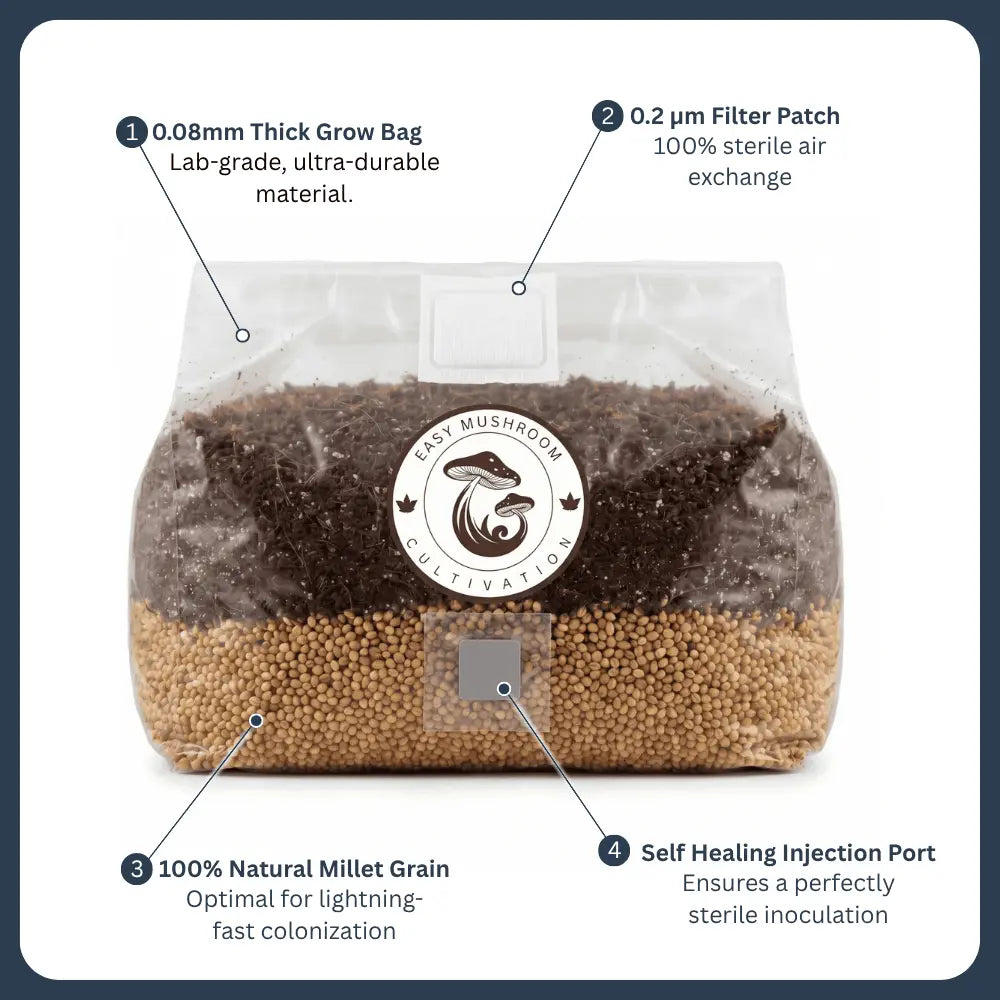 All-in-one mushroom grow bag features: 0.08mm thick plastic, 0.2-micron filter patch, self-healing port, and natural millet.