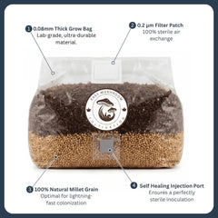 All-in-one mushroom grow bag features: 0.08mm thick plastic, 0.2-micron filter patch, self-healing port, and natural millet.