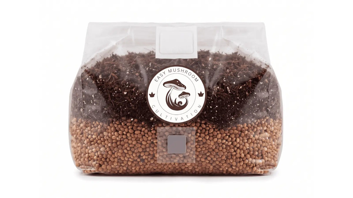 Wide view of an all-in-one mushroom grow bag combining milo grain and CVG bulk substrate.