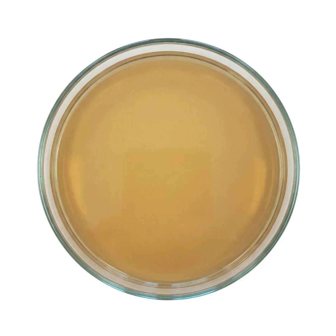 A top-down view of a clear petri dish filled with uninoculated, light brown nutrient agar for mushroom cultivation.
