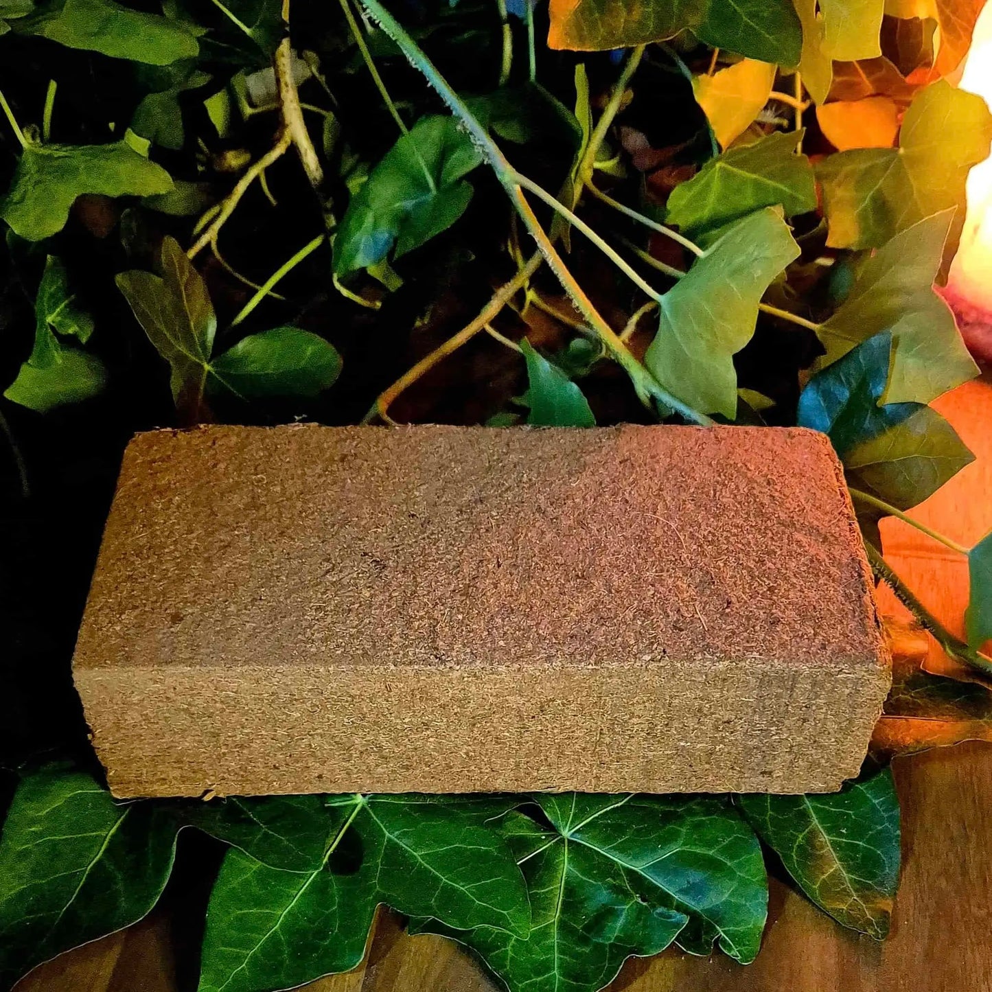 A rectangular block of compressed coco coir mushroom substrate resting on green ivy leaves with warm ambient lighting, emphasizing an organic and natural approach to mushroom cultivation.