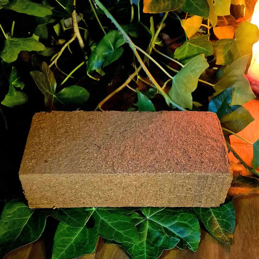 A rectangular block of compressed coco coir mushroom substrate resting on green ivy leaves with warm ambient lighting, emphasizing an organic and natural approach to mushroom cultivation.