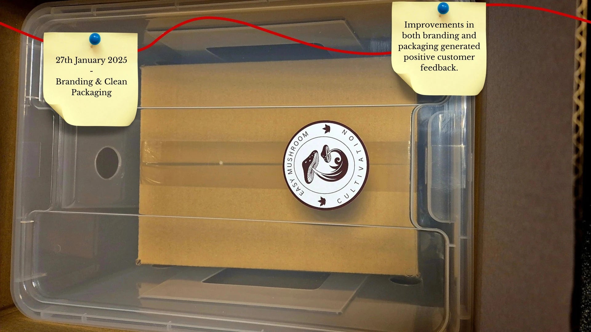 An overhead shot of various cultivation supplies including jars with checkered lids, vacuum-sealed substrate bags, a face mask, and small supplement packets laid out next to an open shipping box.