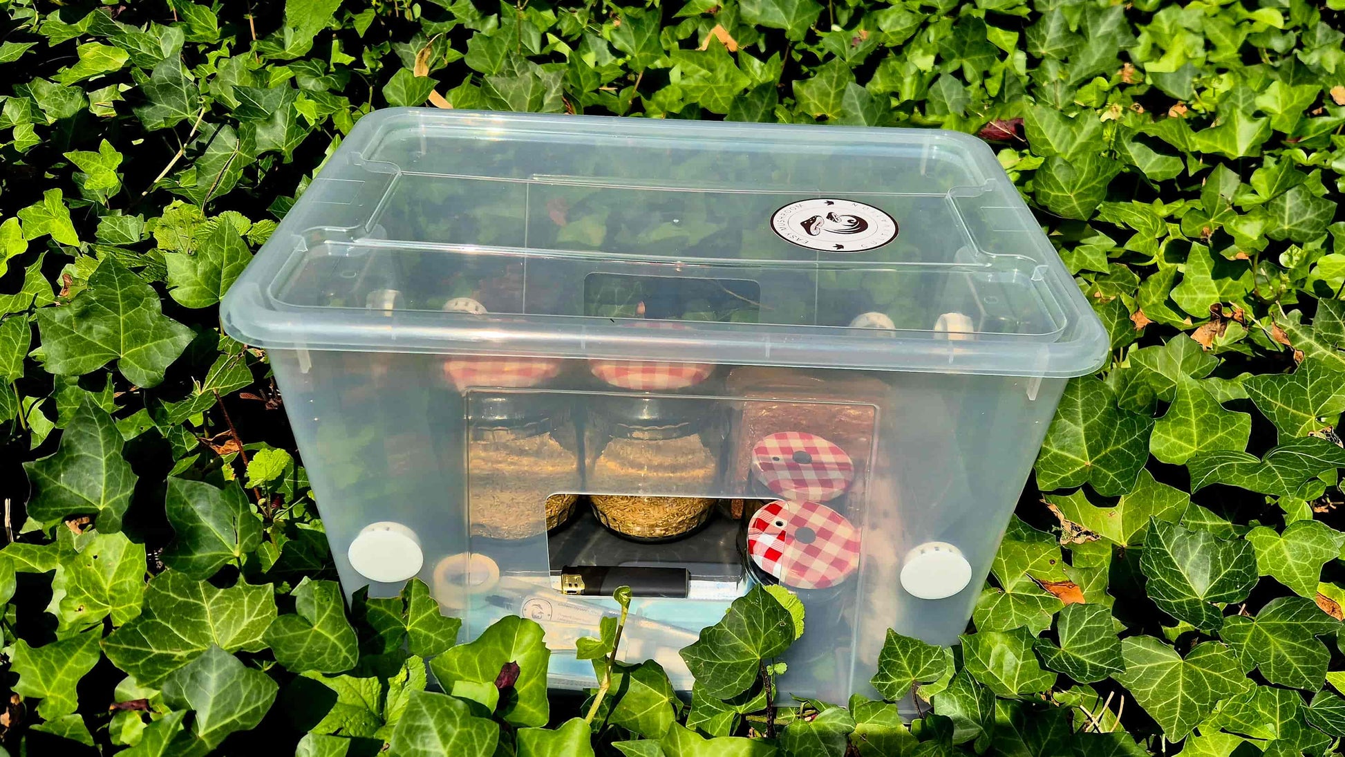An Easy Mushroom Cultivation starter kit packed inside a clear plastic still air box. The tub contains sterilized grain jars, a syringe, and tools, sitting outdoors surrounded by green ivy.