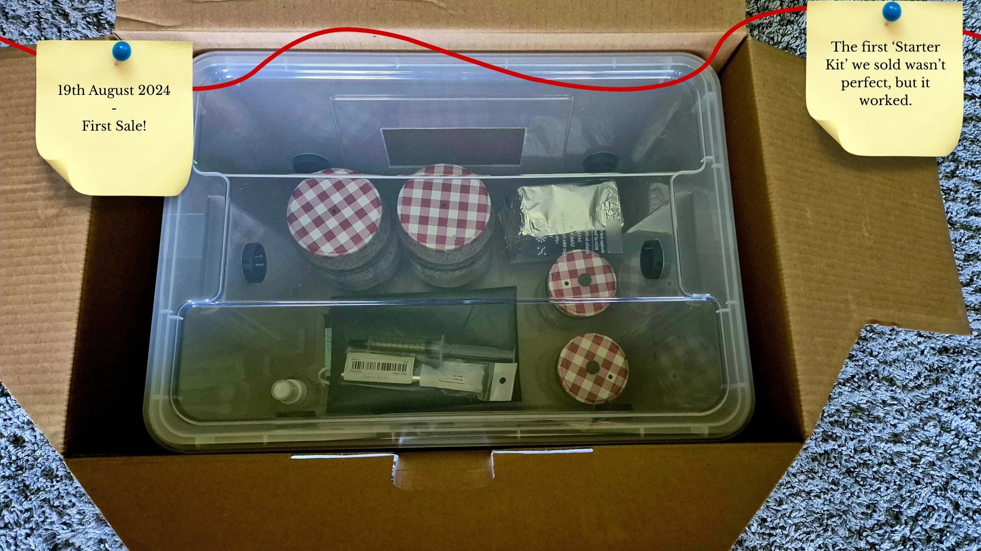 A clear cultivation tub packed with jars and substrate inside a large cardboard shipping box. A sticky note dated August 19, 2024, celebrates the business's first sale, noting it "wasn't perfect, but it worked."