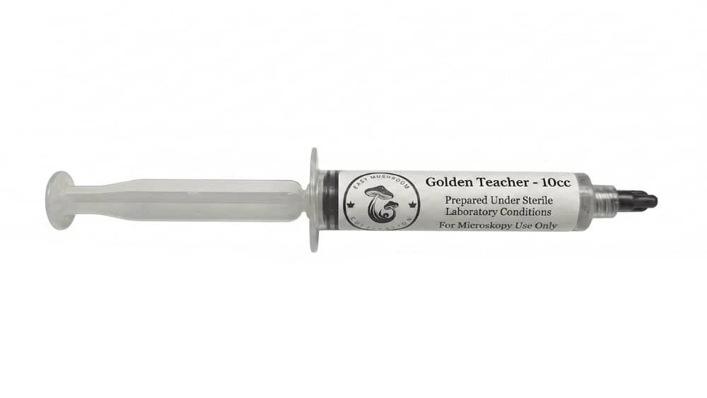 0cc Golden Teacher mushroom spore syringe by Easy Mushroom Cultivation, prepared under sterile laboratory conditions for microscopy use.